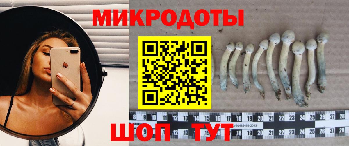 Видное  Псилоцибиновые грибы MAGIC MUSHROOMS  Вход с VPN  Псилоцибиновые грибы Psilocybe 